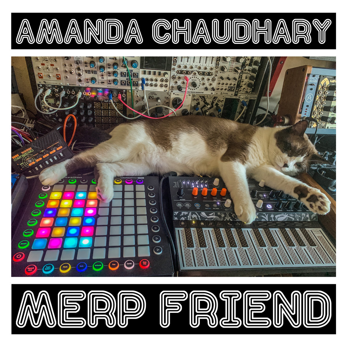 Amanda Chaudhary | Merp Friend